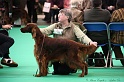 Crufts2011 256